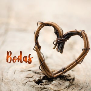Bodas