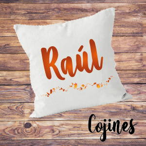 Cojines